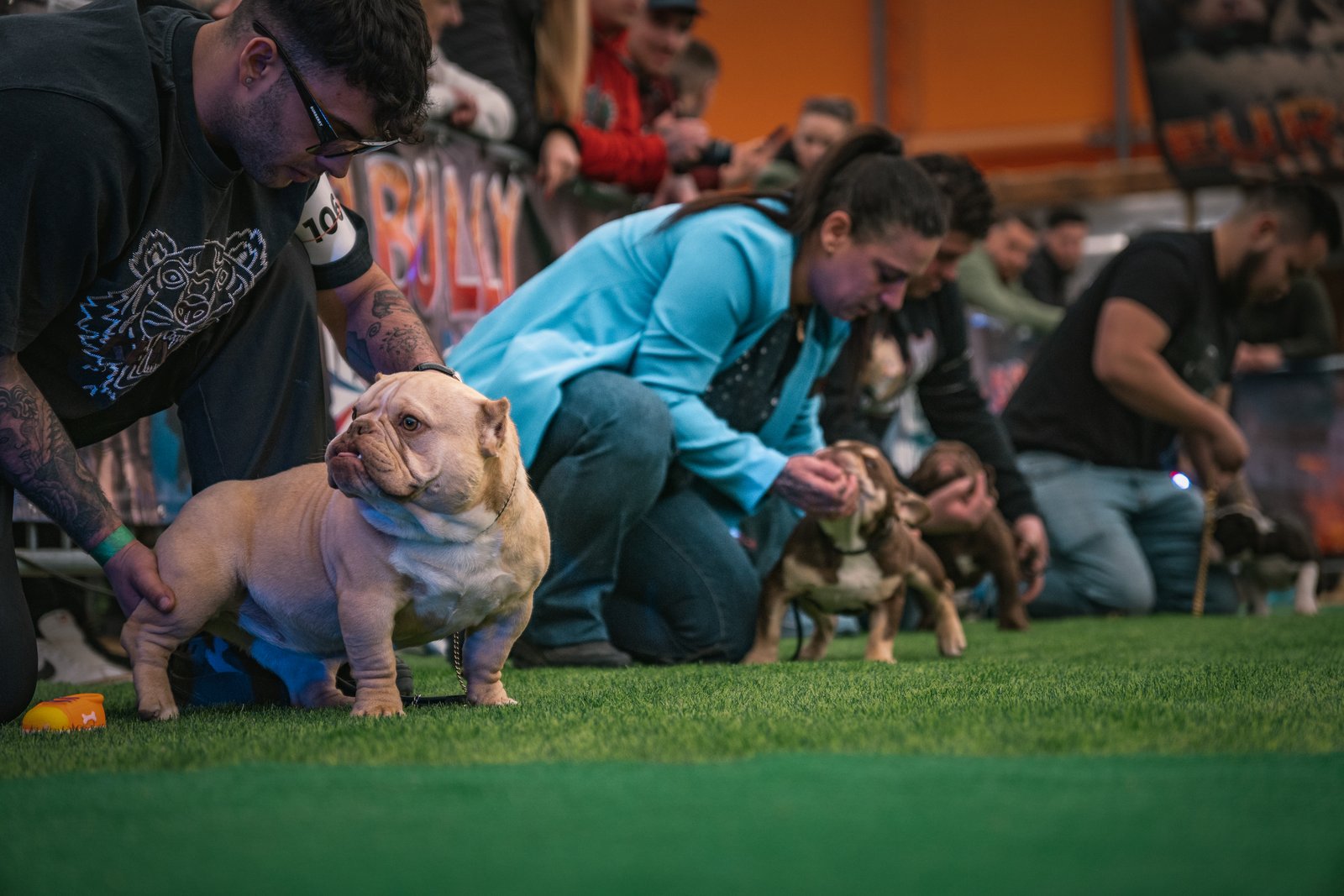 Euro Bully Showdown Vol.2 (01.04.2023 Lucky Ranč, Reca 12, Slovakia) – Euro  Bully Showdown